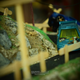 Illustration for article titled My Handmade Diorama For 1:64 Carsem/em